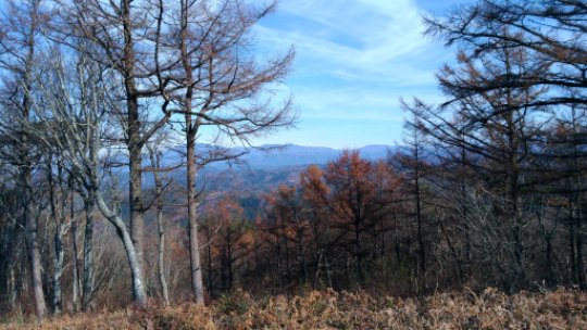 寧比曽岳山頂